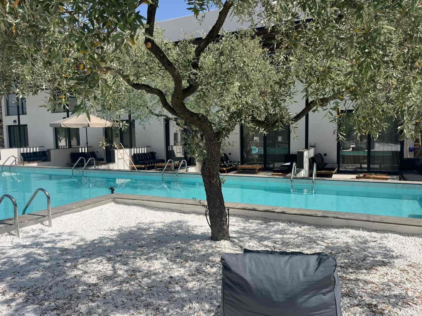 ホテル The Olive Hills Skala Rachoni  エクステリア 写真
